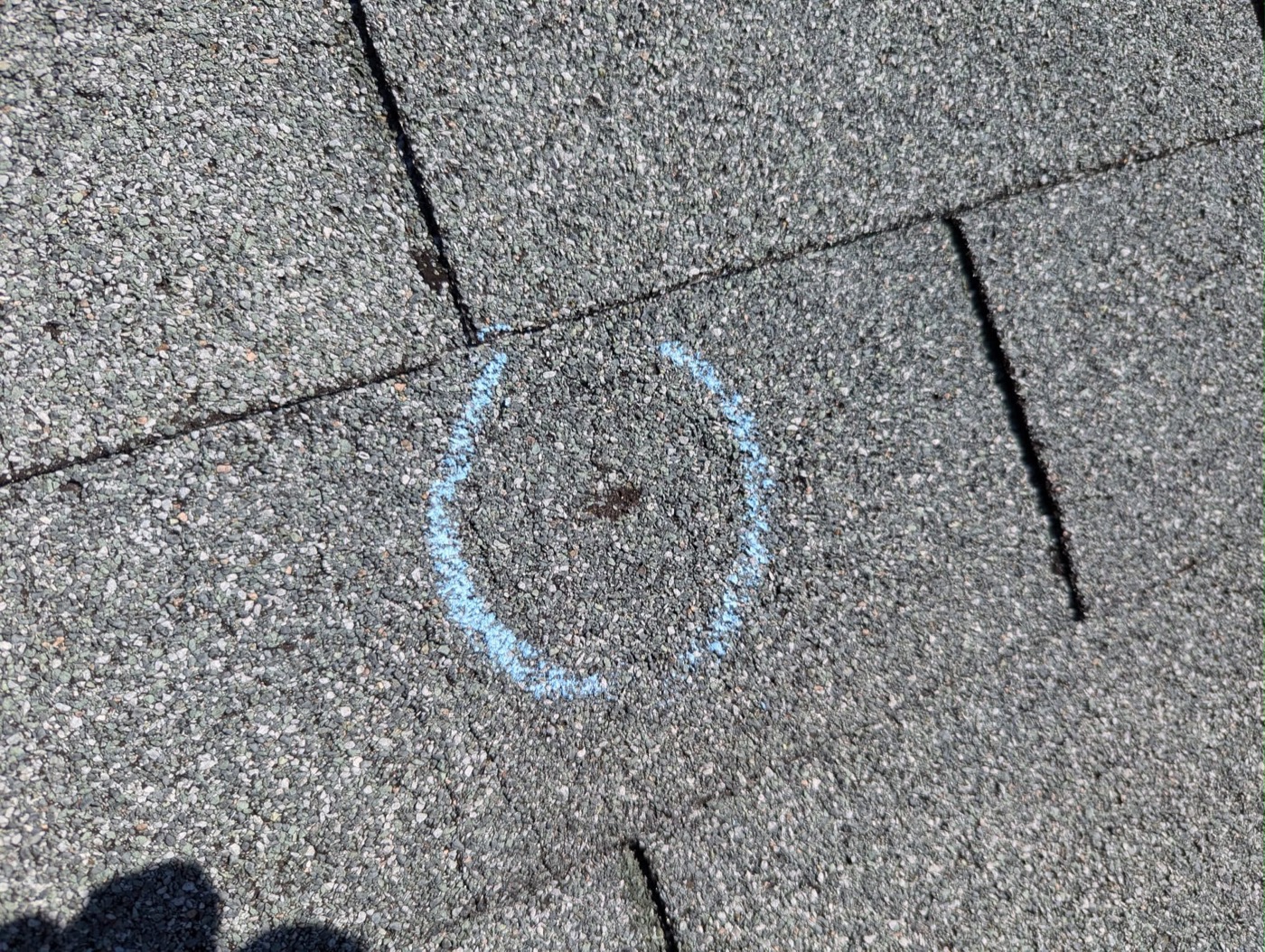 Inspection photo: a hail impact circled in chalk on an asphalt shingle