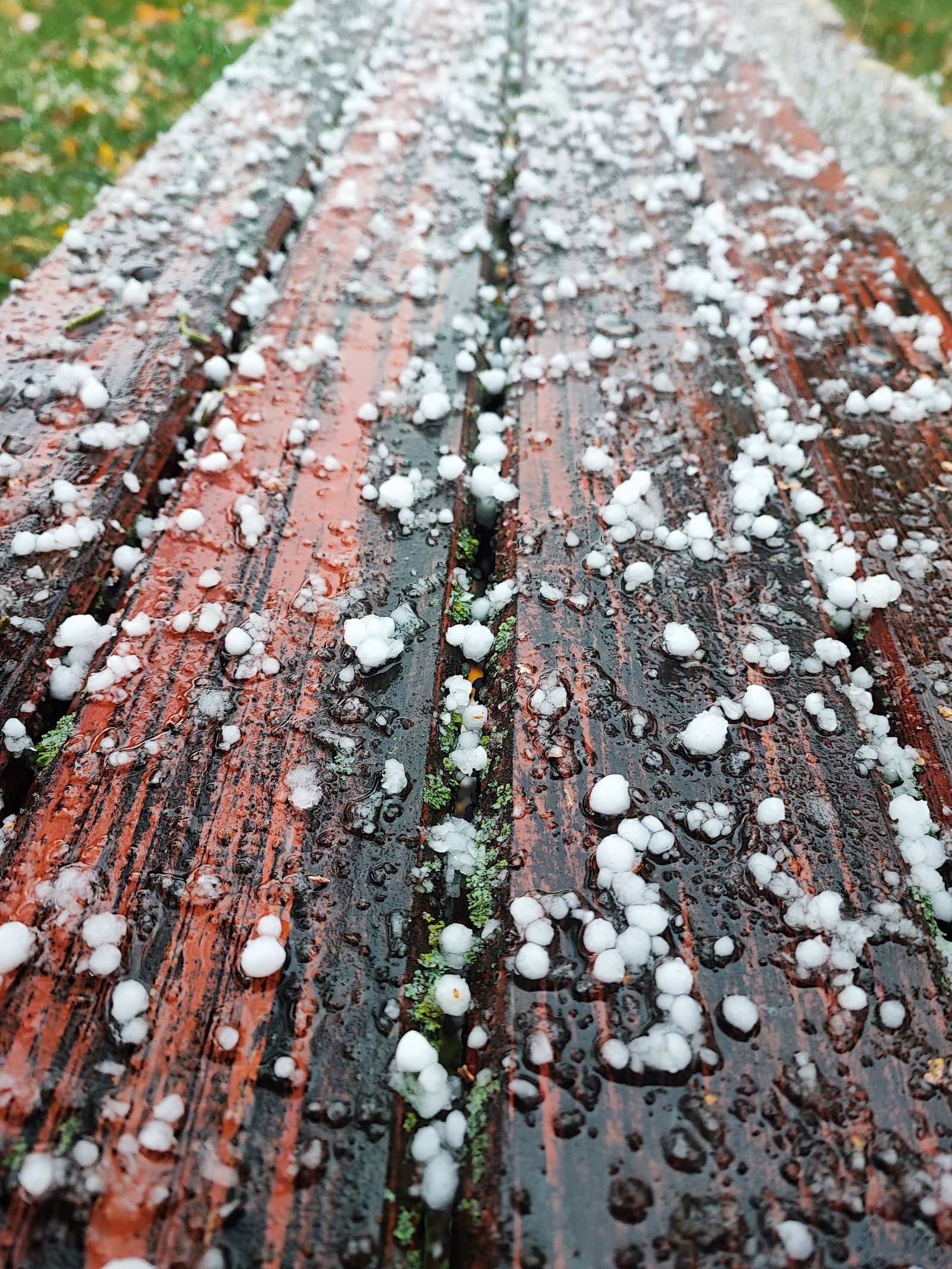 Hailstones on a wooden surface after a storm